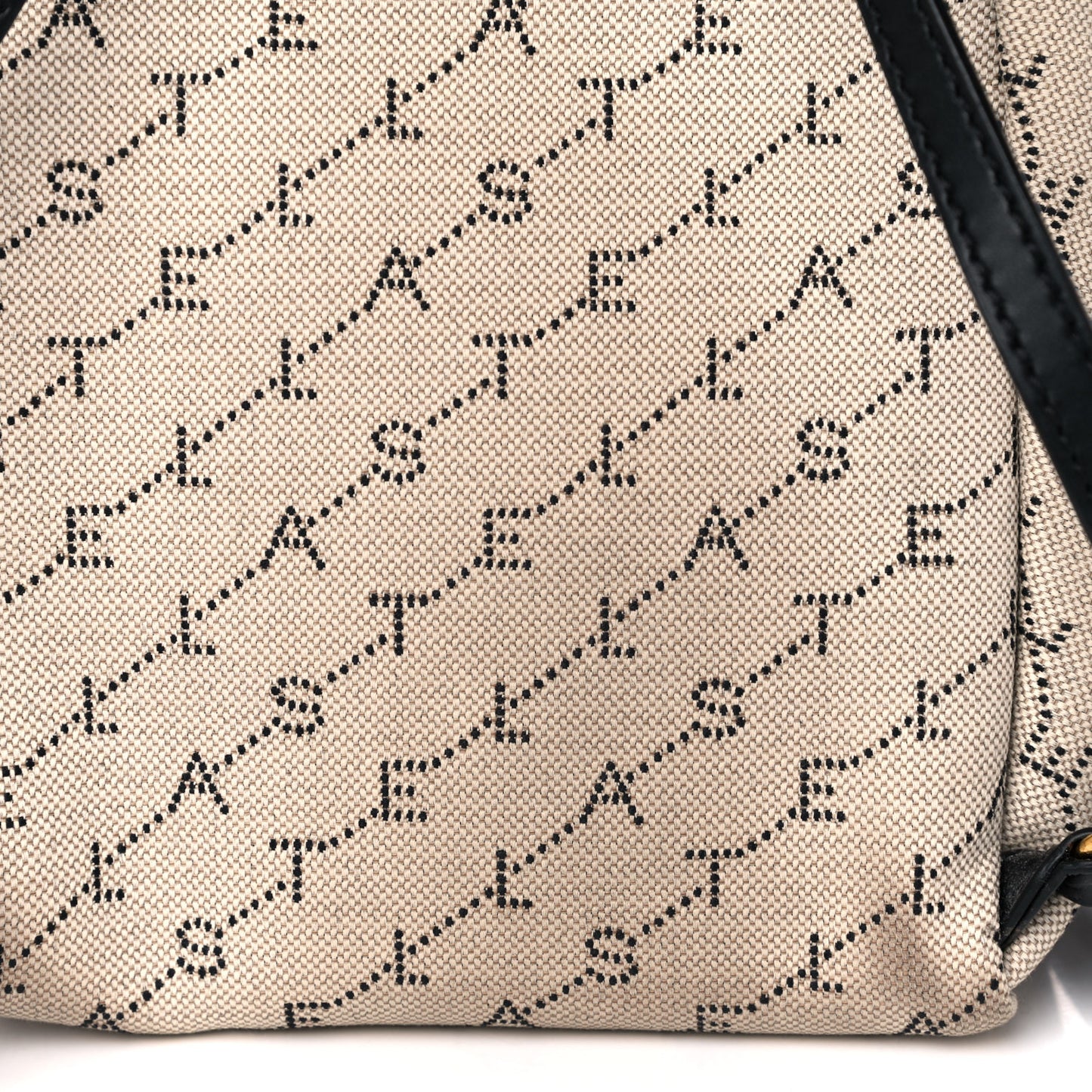 Canvas Mini Stella Logo Backpack Neutral