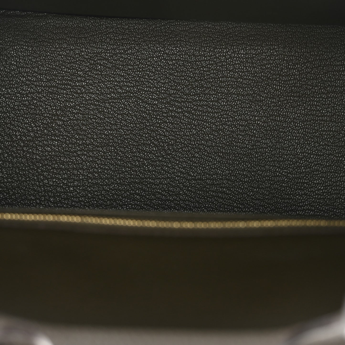 Togo Birkin 25 Eucalyptus
