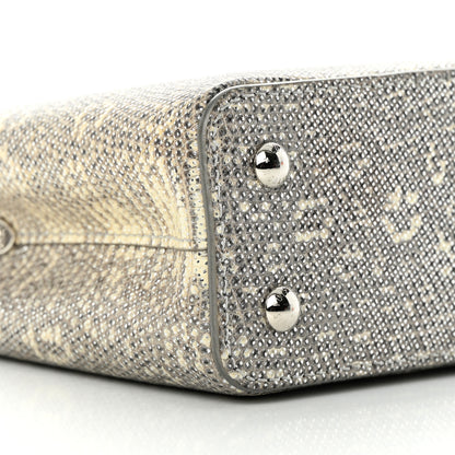 Louis Vuitton Lizard Mini Capucines Argento 10 of 16