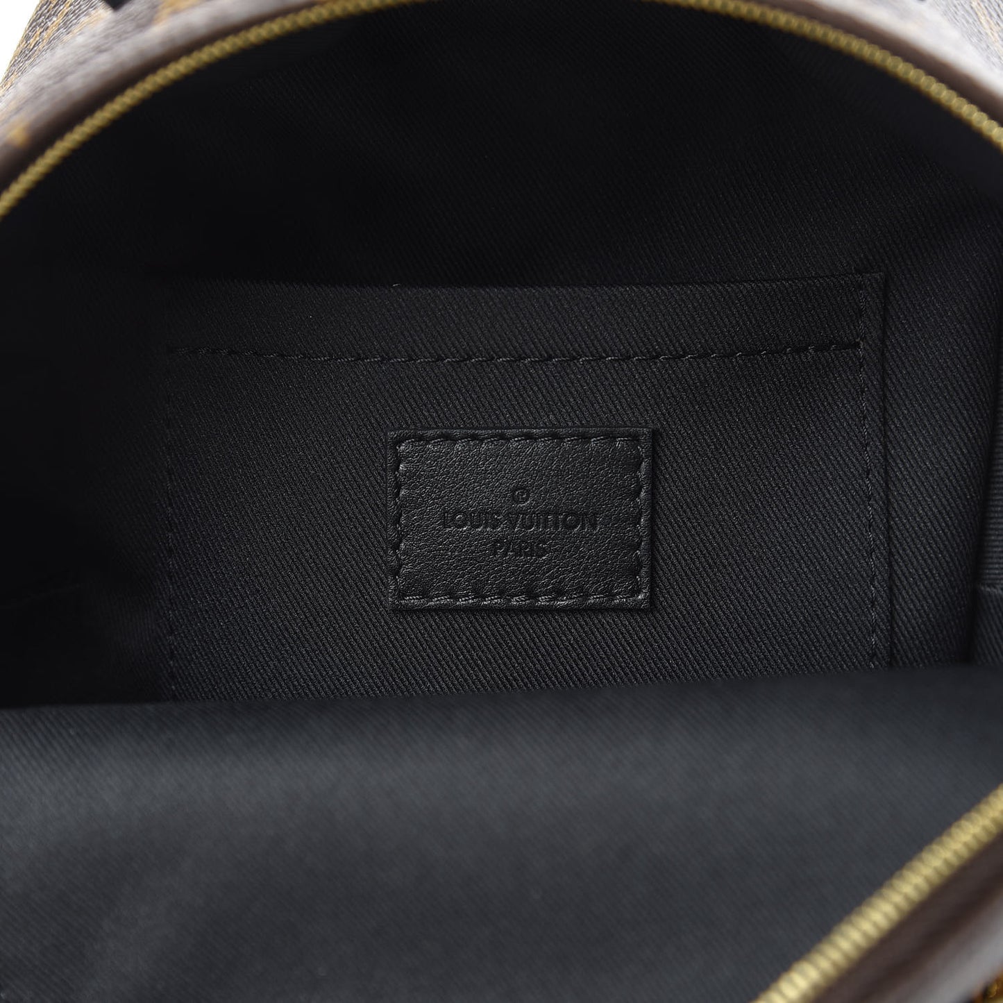 Monogram Palm Springs Backpack Mini