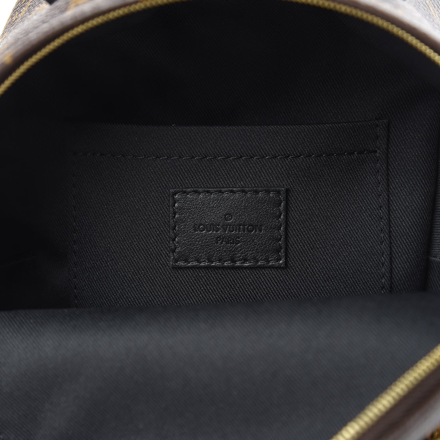 Louis Vuitton Monogram Palm Springs Backpack Mini 6 of 10
