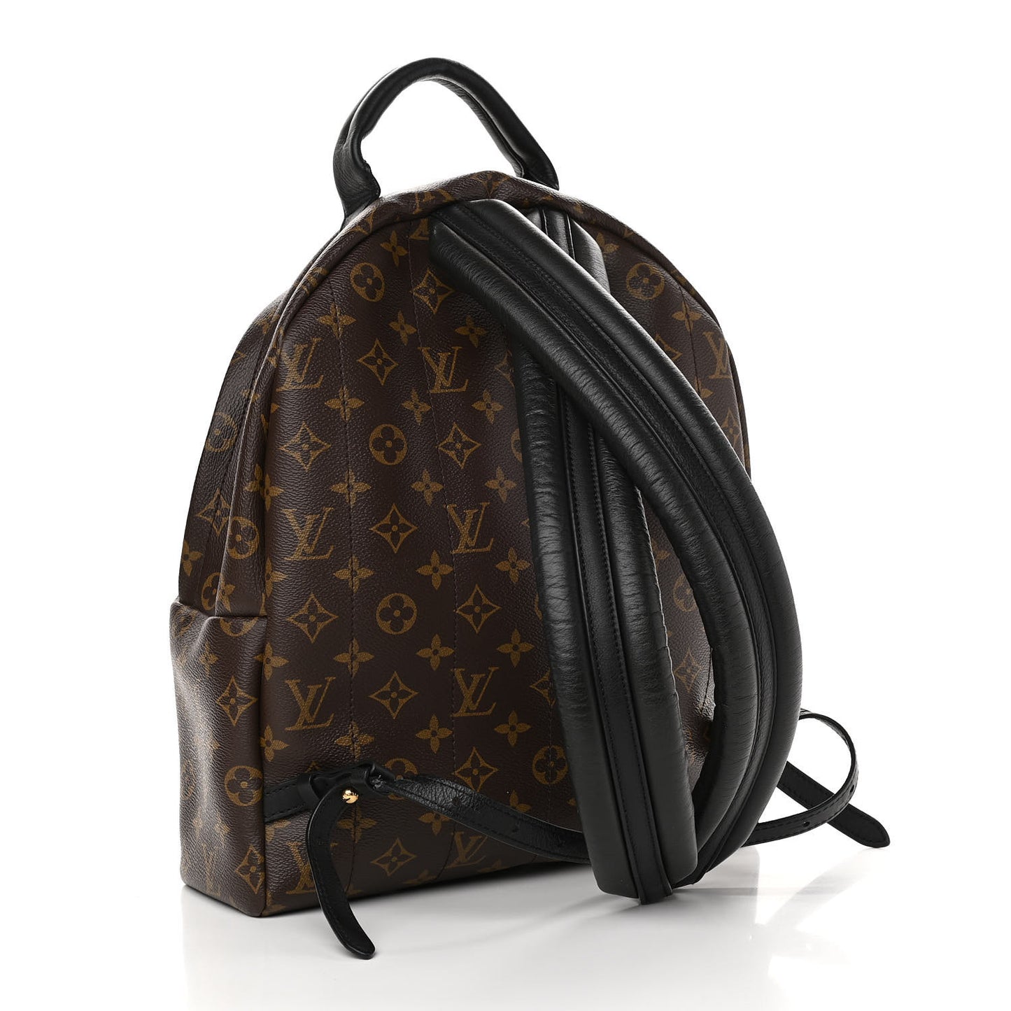 Monogram Palm Springs Backpack MM