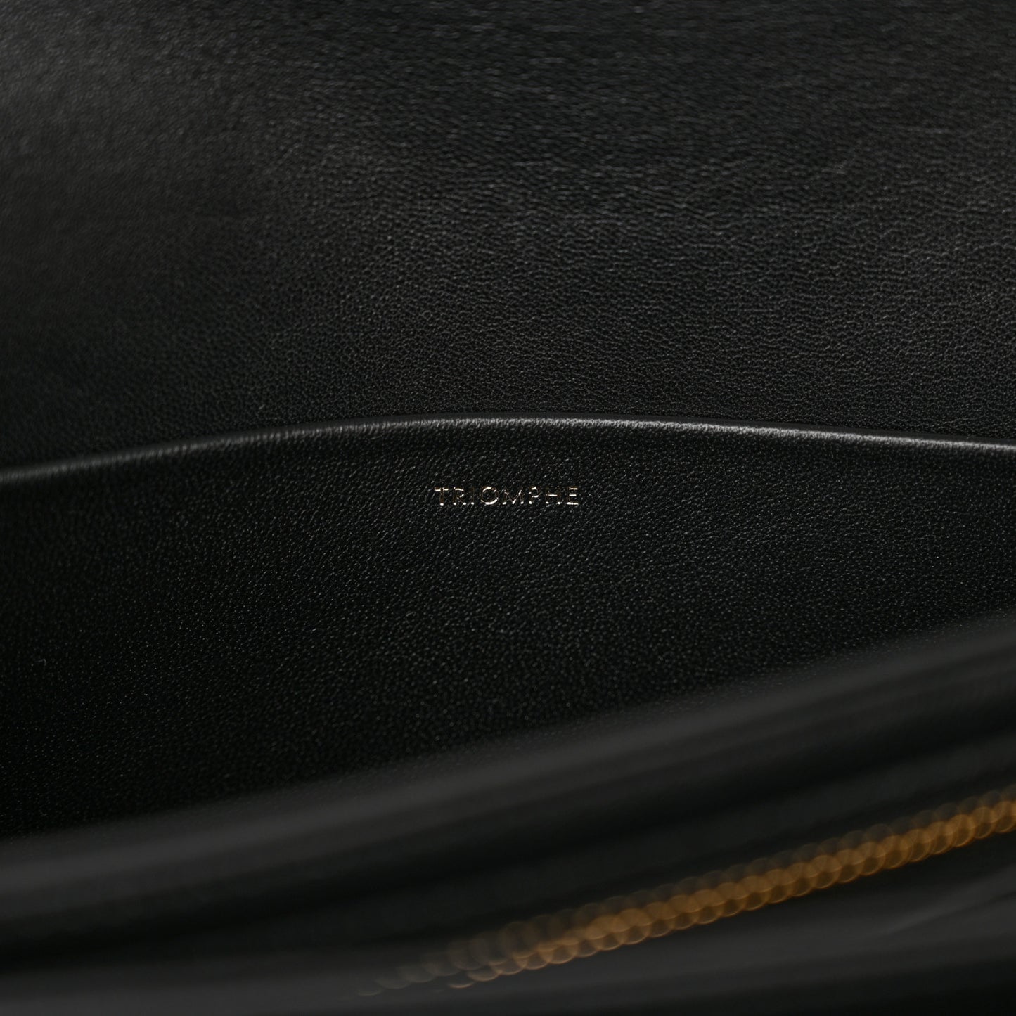 Shiny Calfskin Large Triomphe Black