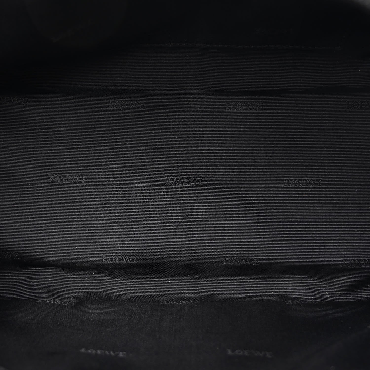 Loewe Calfskin Amazona 28 Black 5 of 12