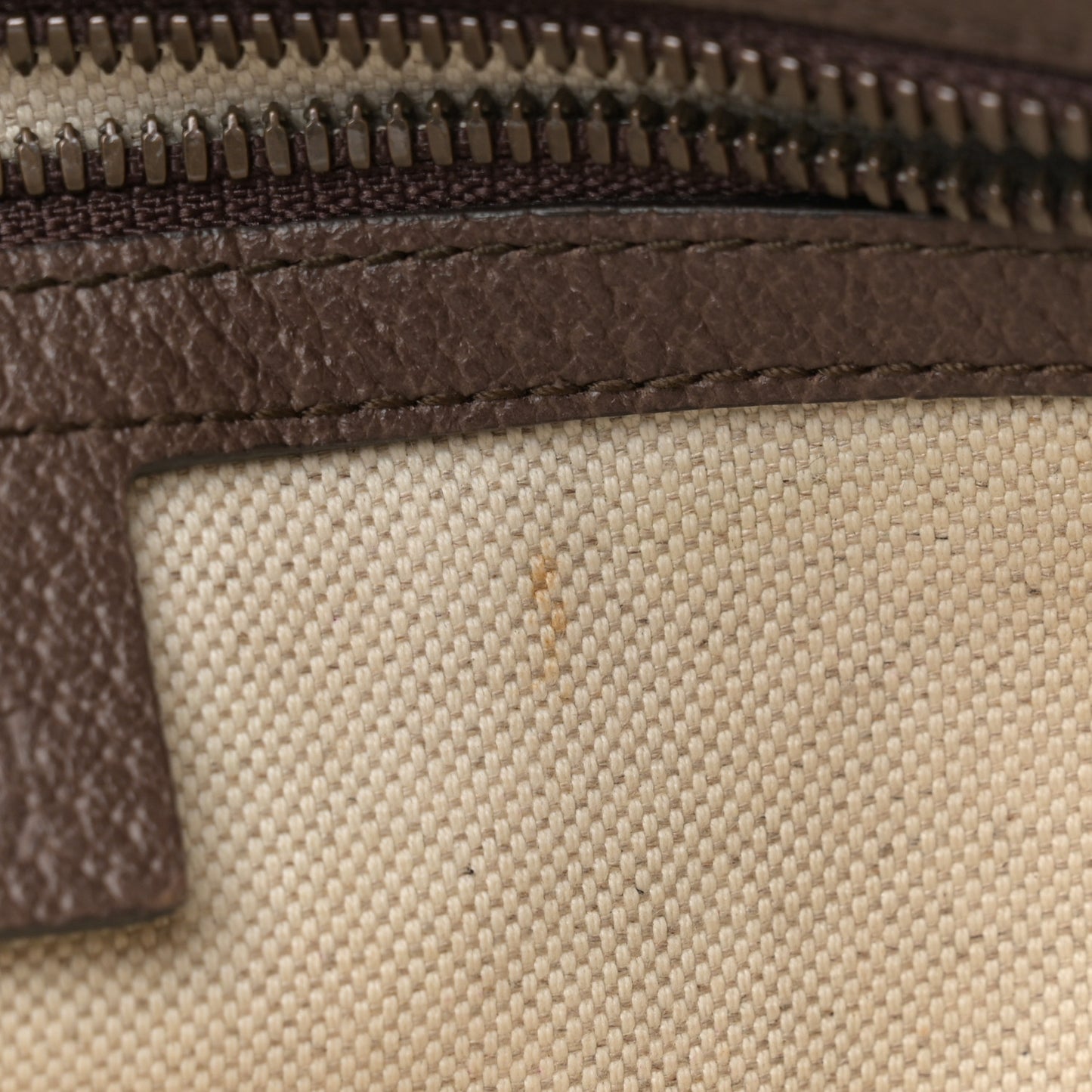 GG Supreme Monogram Web Small Ophidia Half Moon Hobo Brown