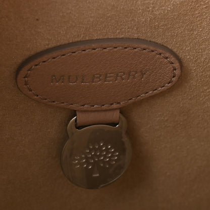 Mulberry Heavy Grain Calfskin Bayswater Putty 6 of 9