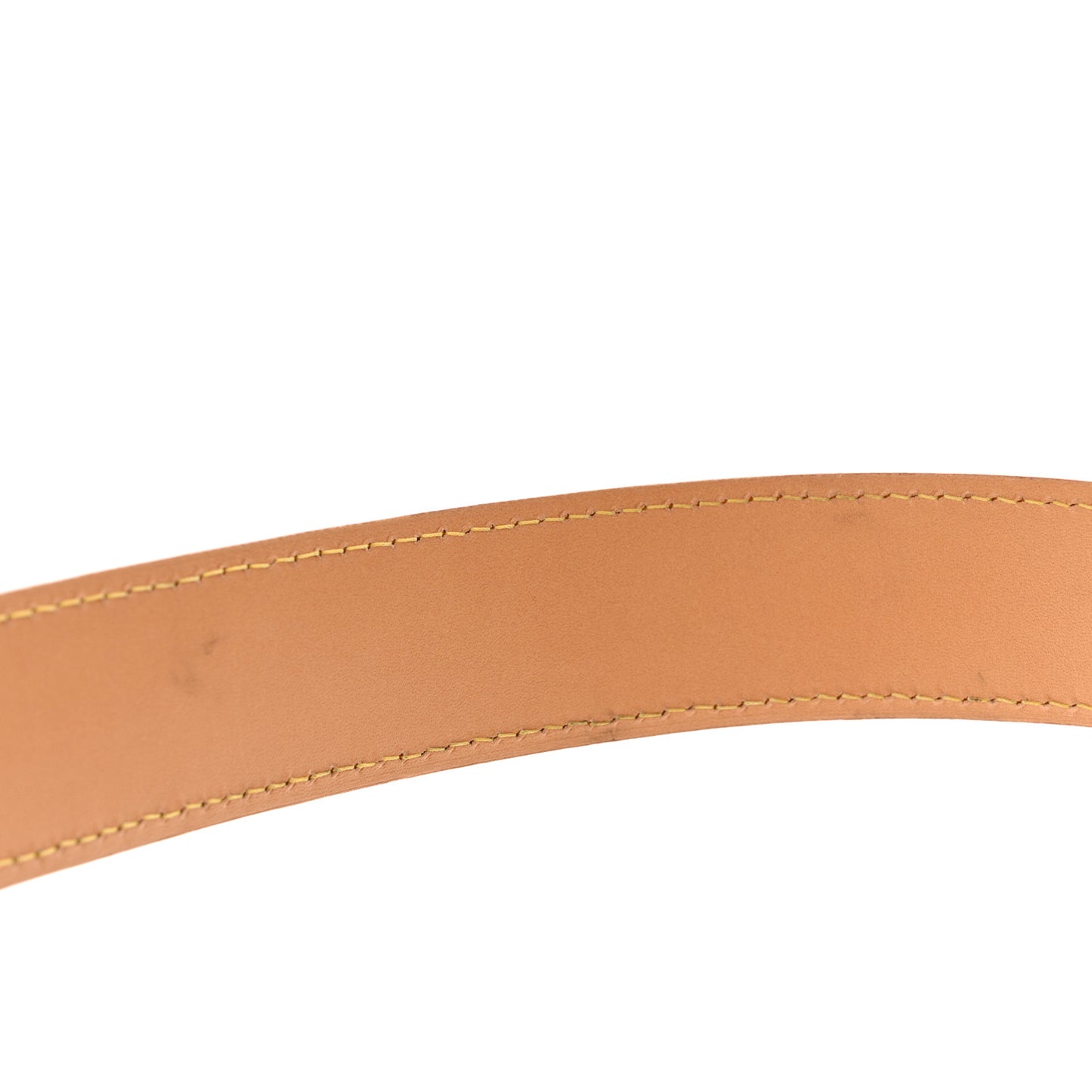 Monogram CarryAll PM