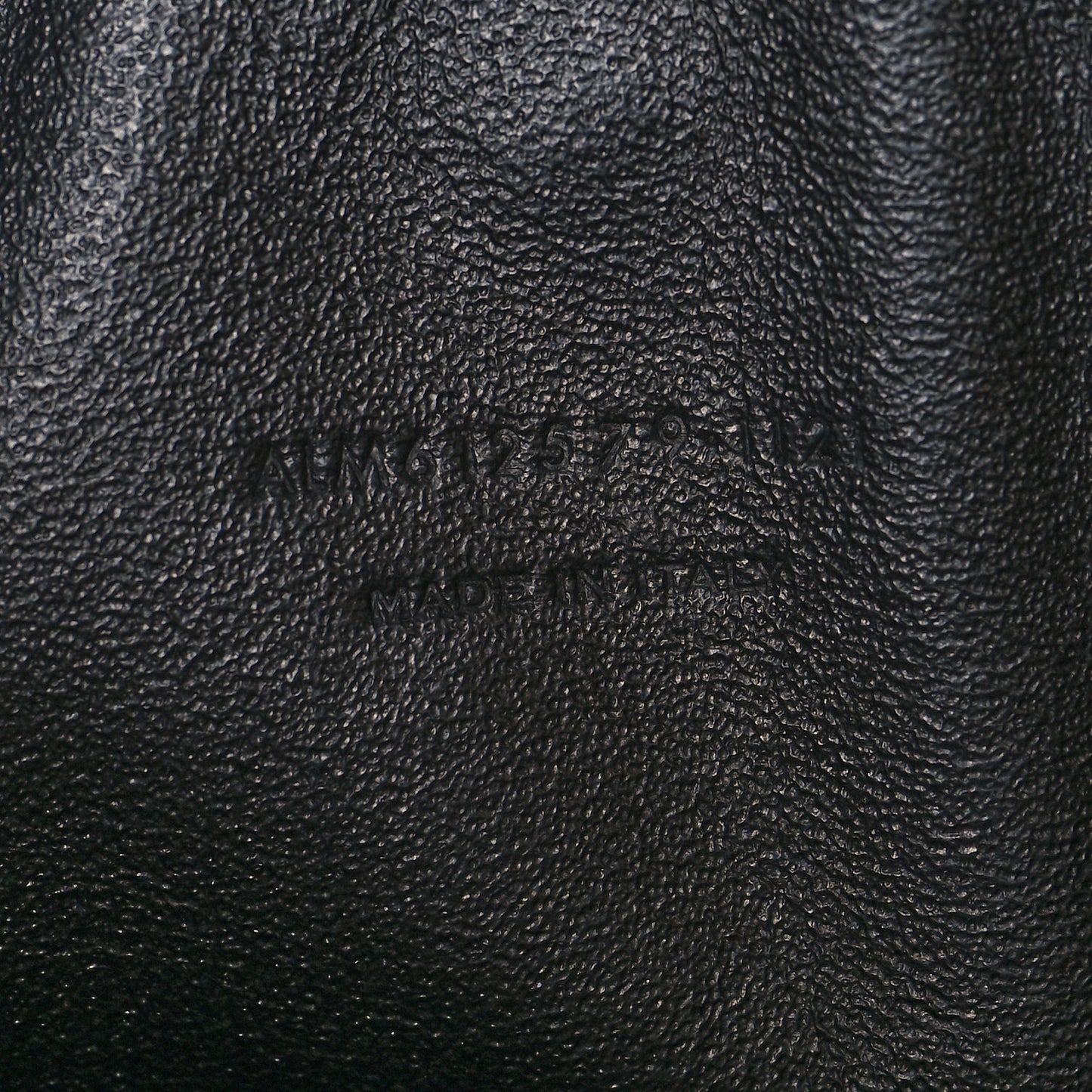 Grain De Poudre Matelasse Monogram Mini Lou Camera Bag Light Sage