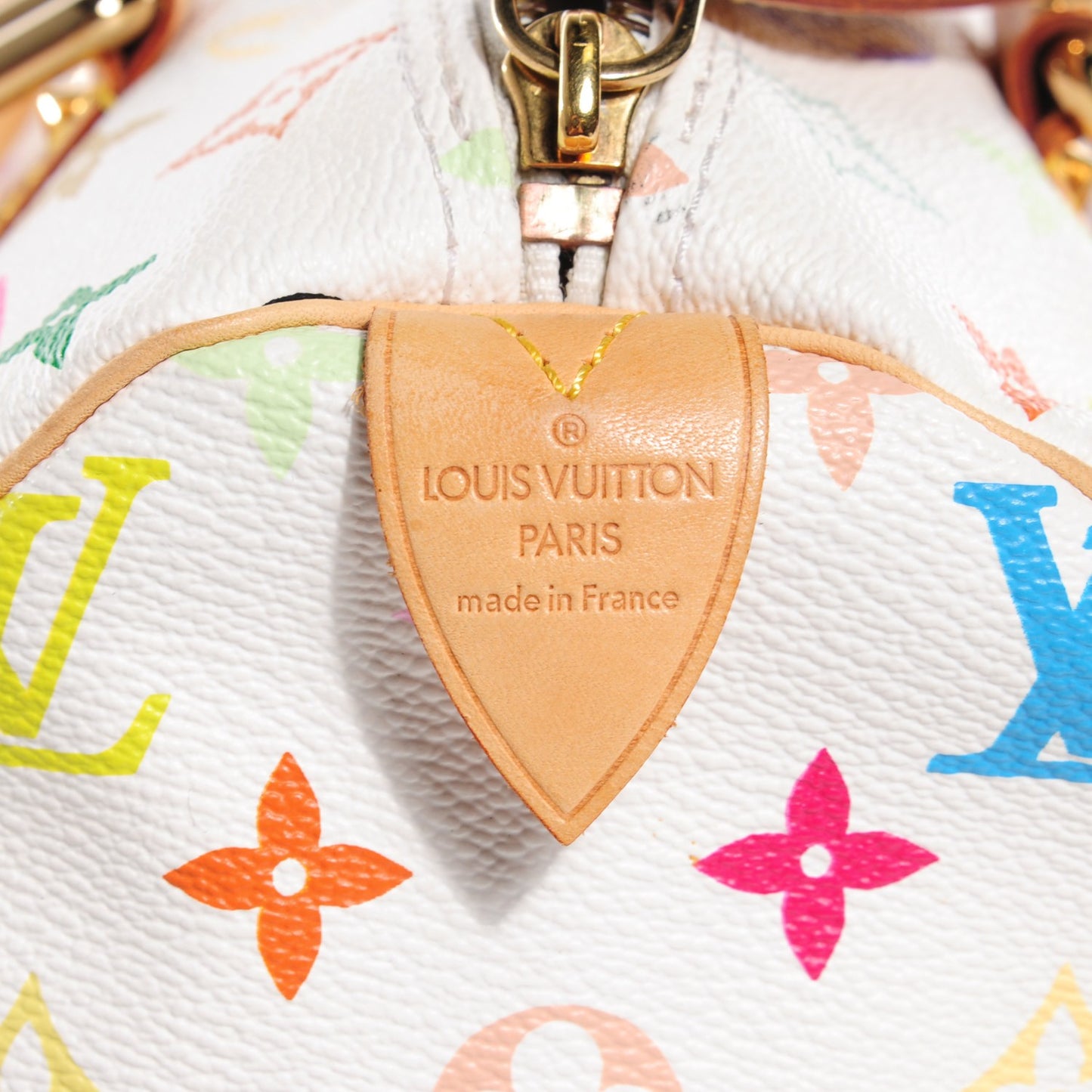 Monogram Multicolor Speedy 30 White