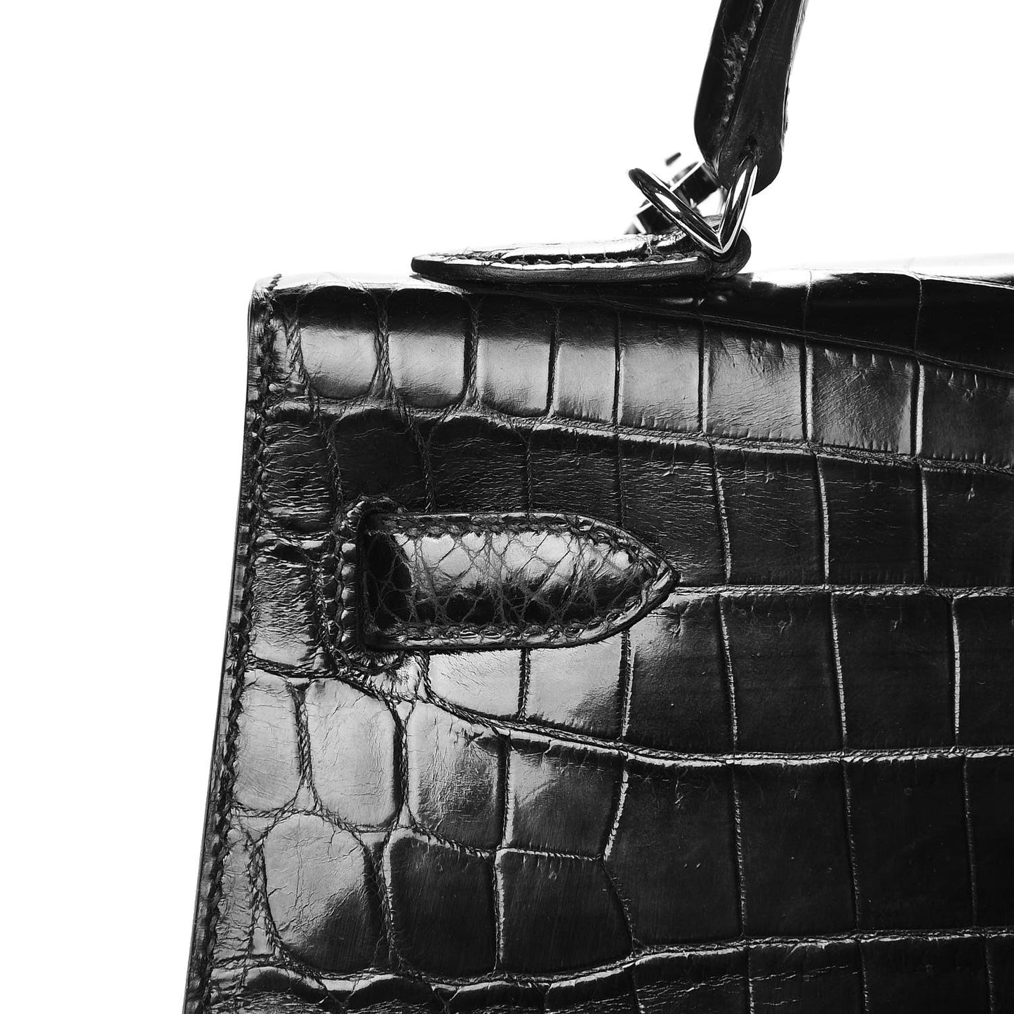 Shiny Niloticus Crocodile Kelly Sellier 32