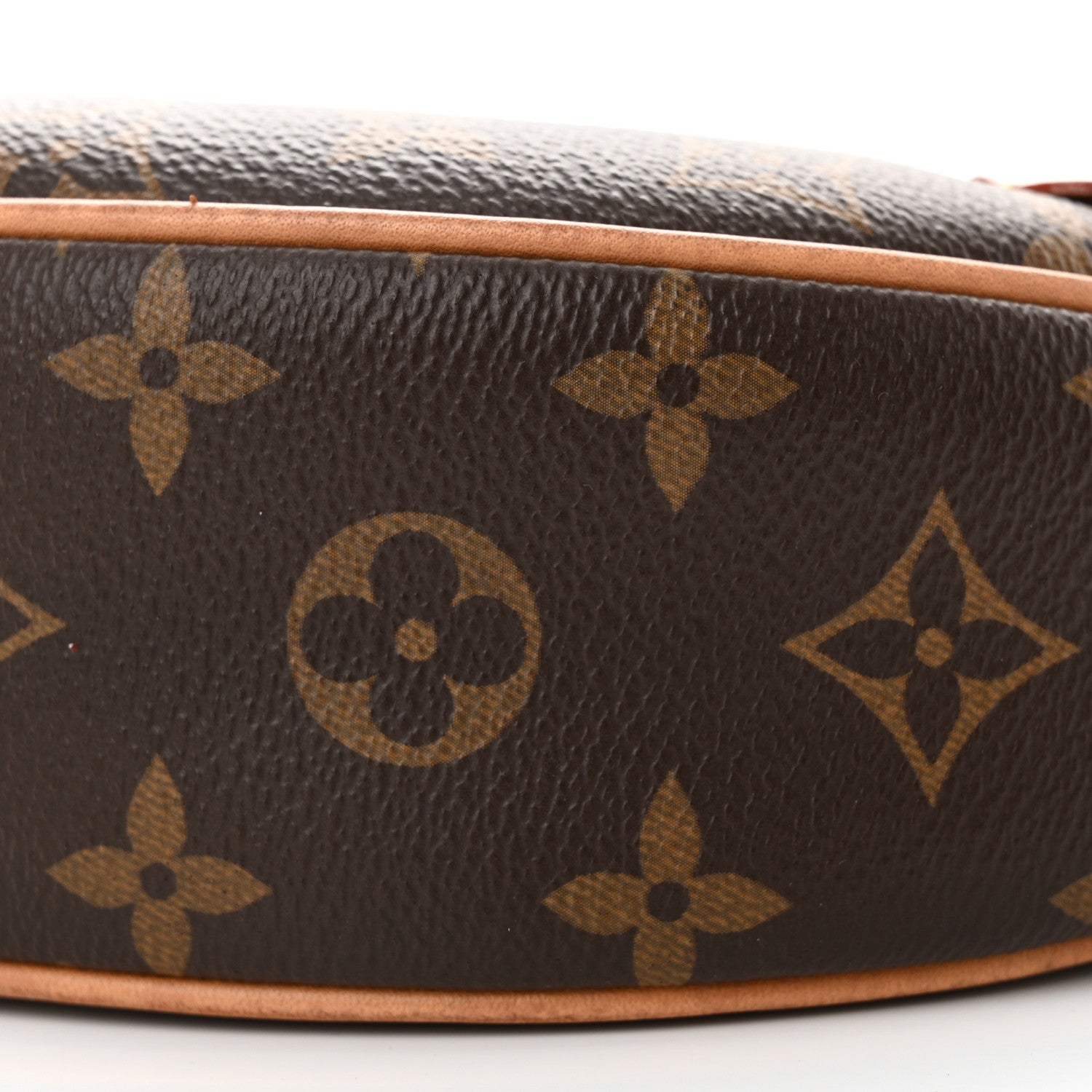 Louis Vuitton Monogram Loop 9 of 17