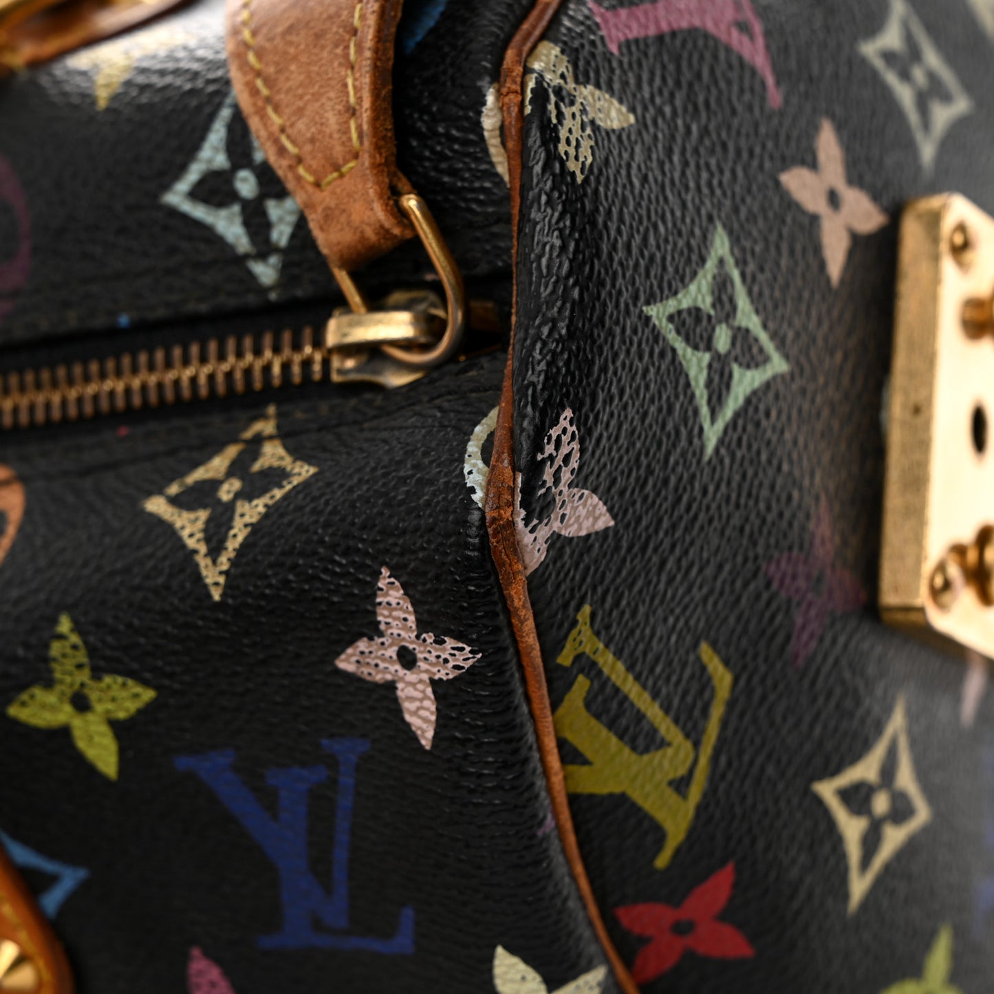 Monogram Multicolor Speedy 30 Black
