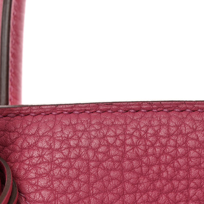 Hermes Fjord Birkin 30 Tosca 13 of 15