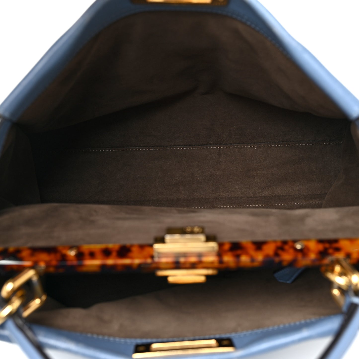 Vitello Seta Plexiglass Tortoise Large Peekaboo Iconic Satchel Ceruleo