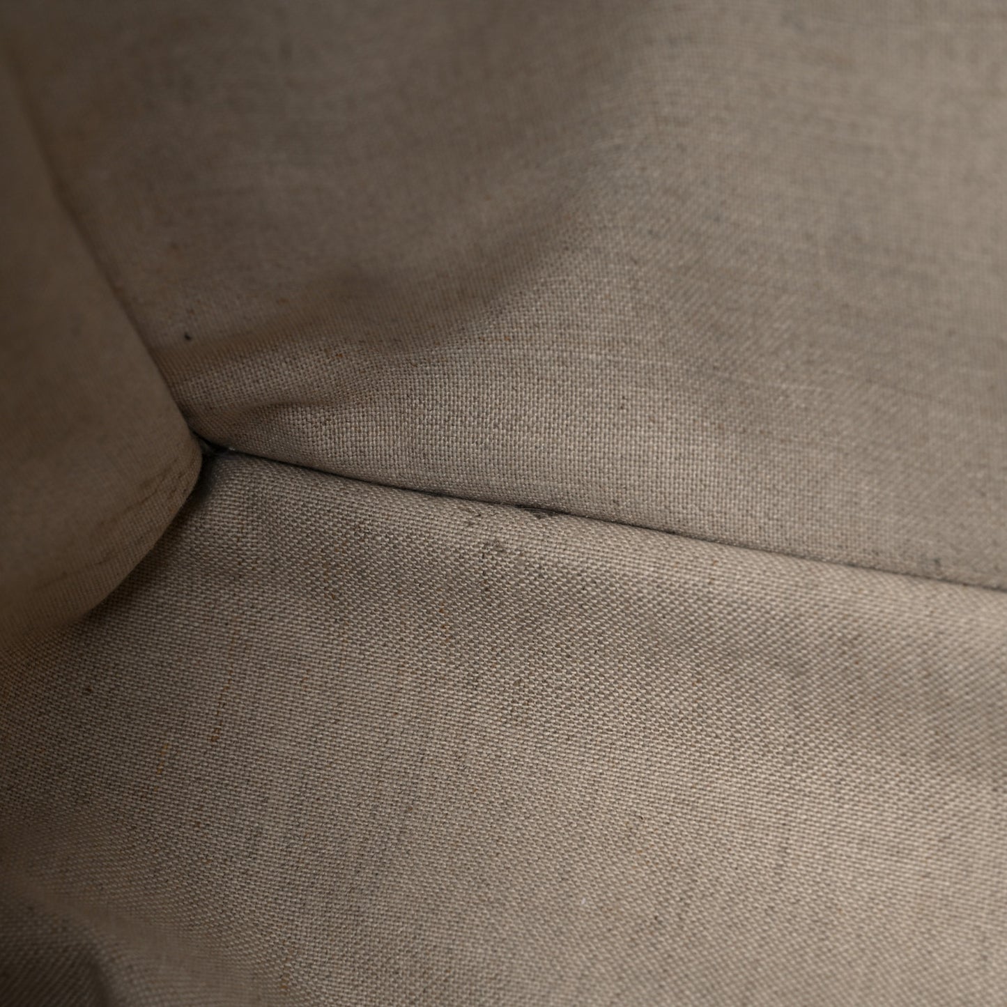 Canvas Large Iliad Shopping Tote Beige