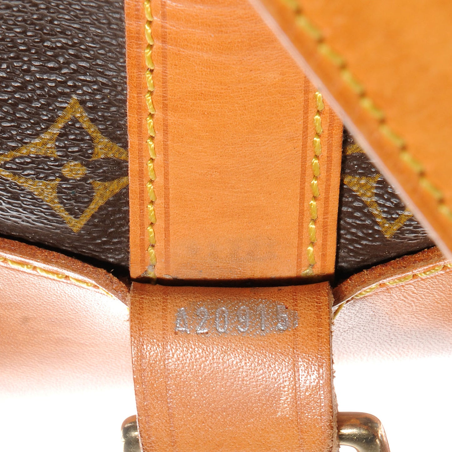 Monogram Randonnee GM Backpack