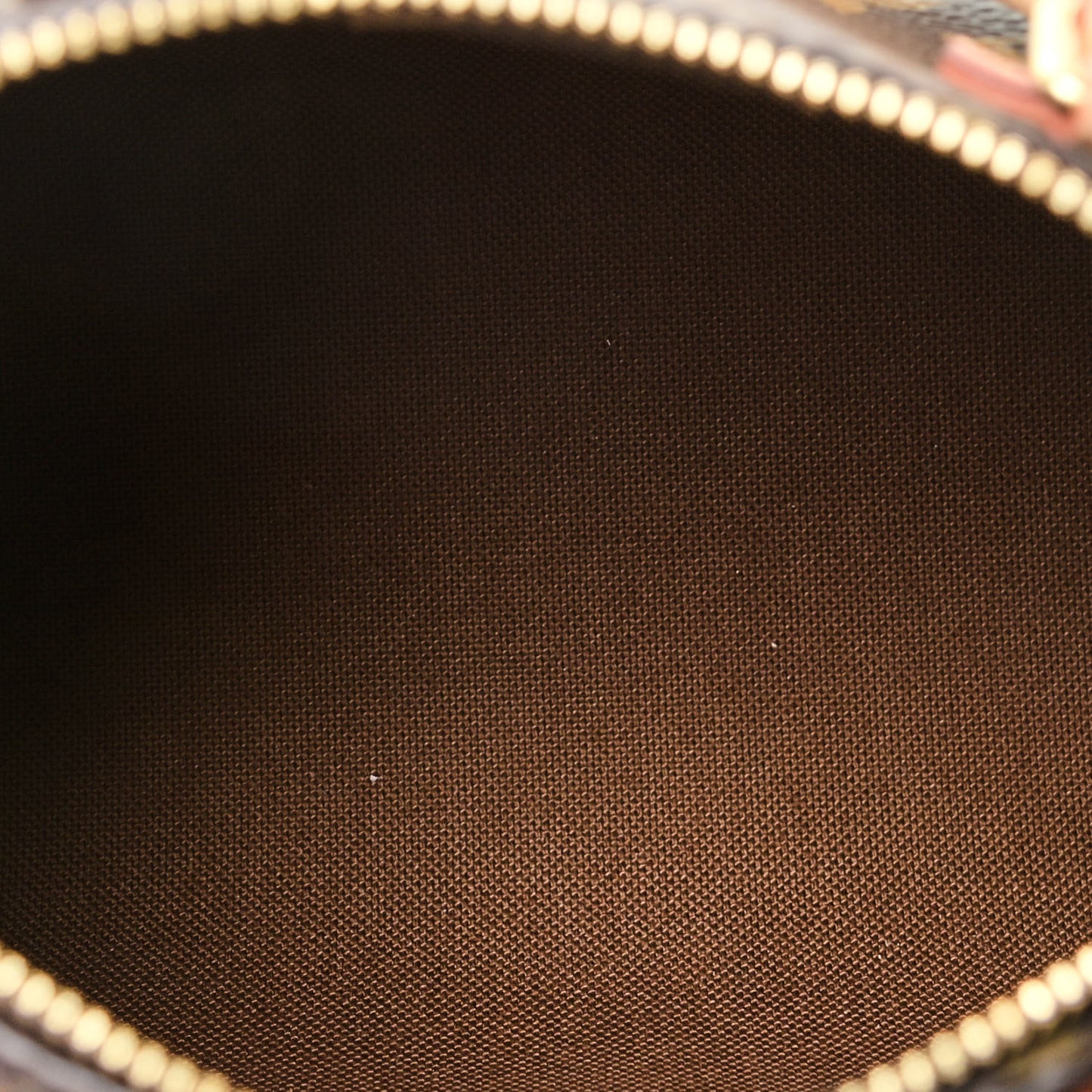Monogram Nano Speedy