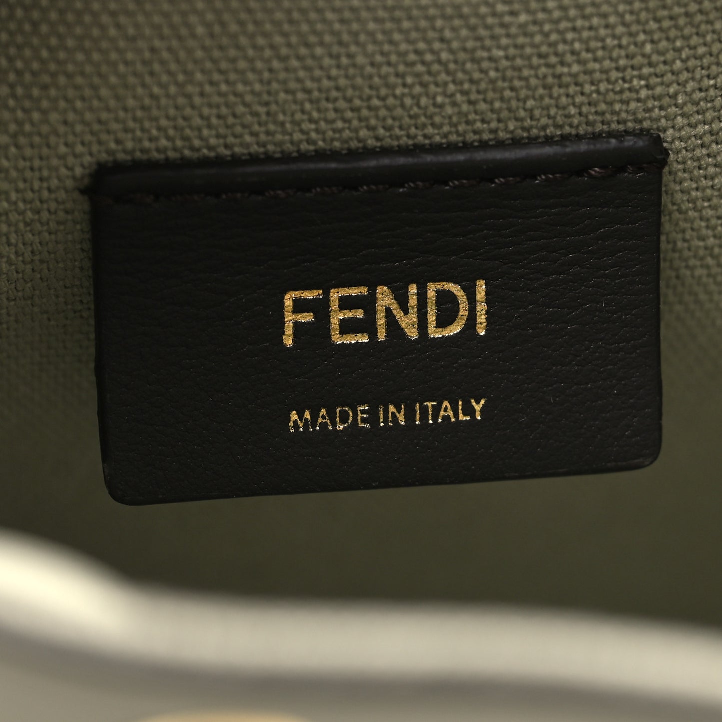 Canvas Vitello Grace F is Fendi FF Embroidered Mini Mon Tresor Bucket Bag Green Tea
