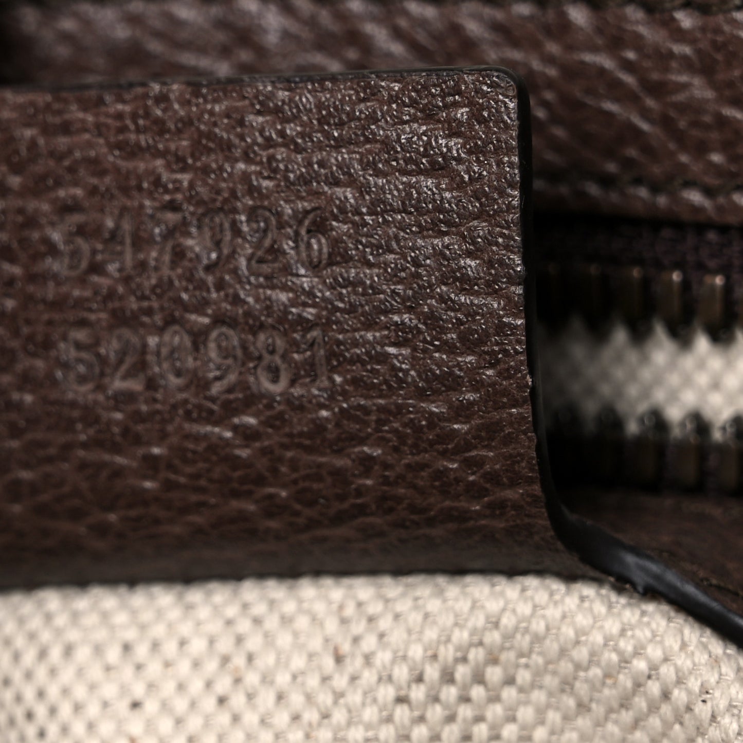 GG Supreme Monogram Web Small Ophidia Messenger Bag Brown
