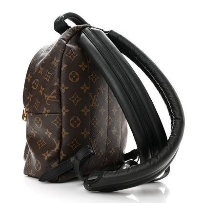 Louis Vuitton Monogram Palm Springs Backpack PM 3 of 10