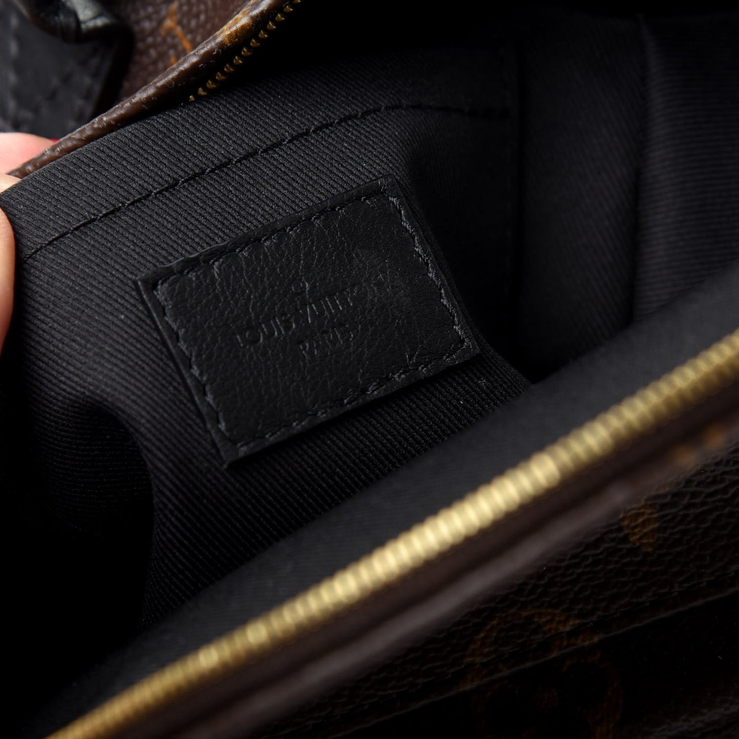 Monogram Palm Springs Backpack Mini