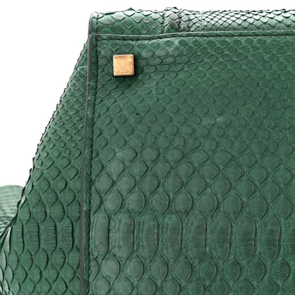 Celine Snakeskin Medium Phantom Luggage Green 11 of 11