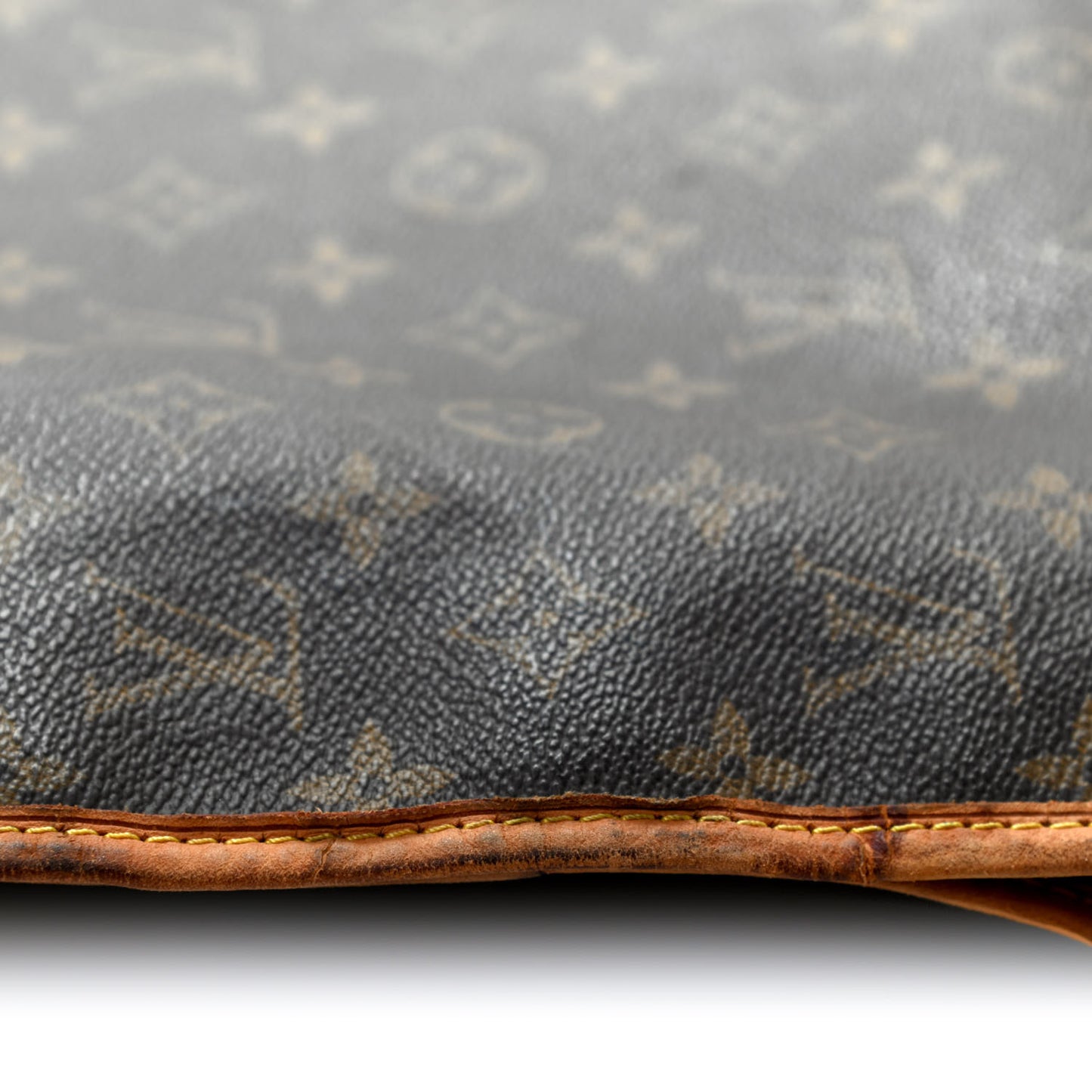 Monogram Garment Cover