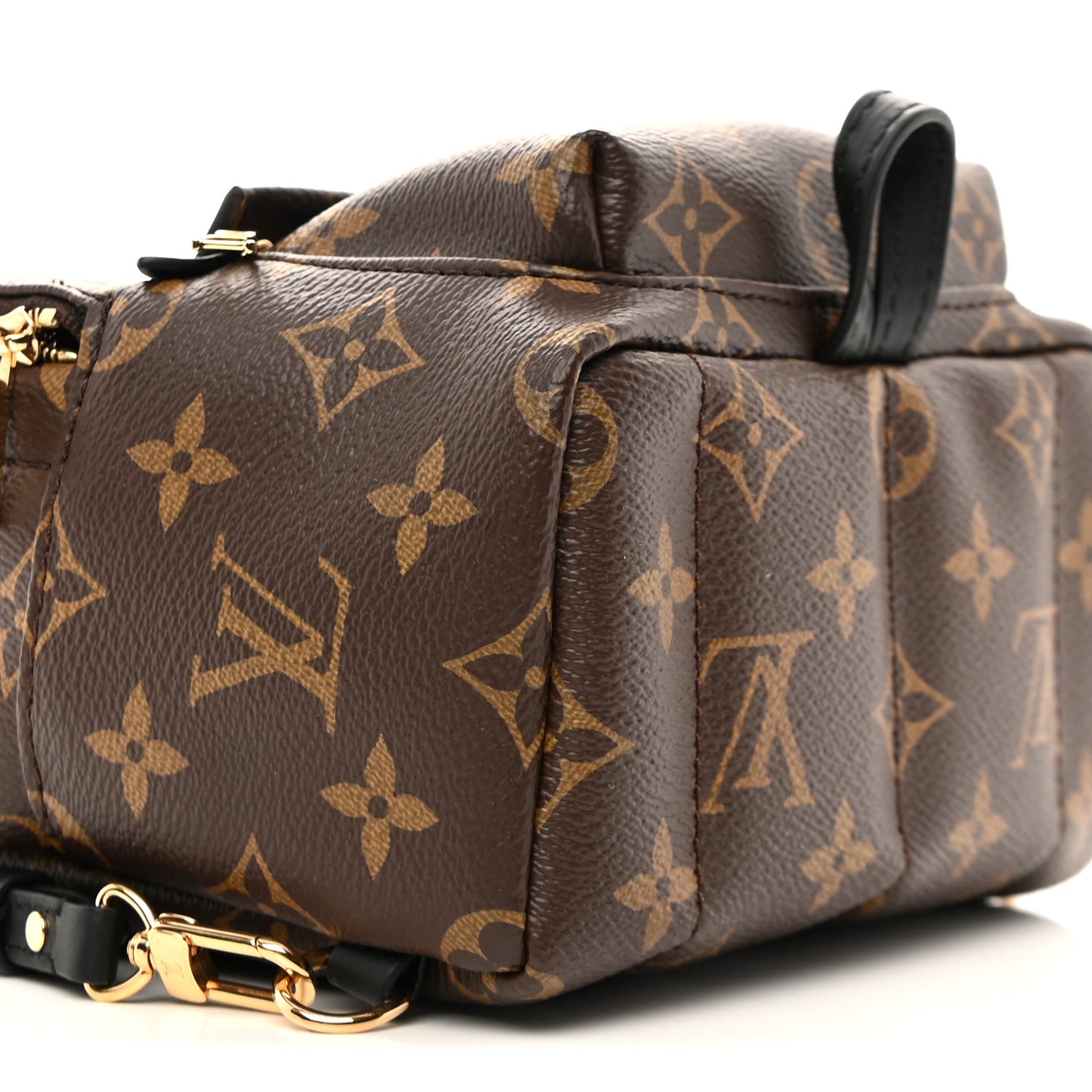 Monogram Palm Springs Backpack Mini