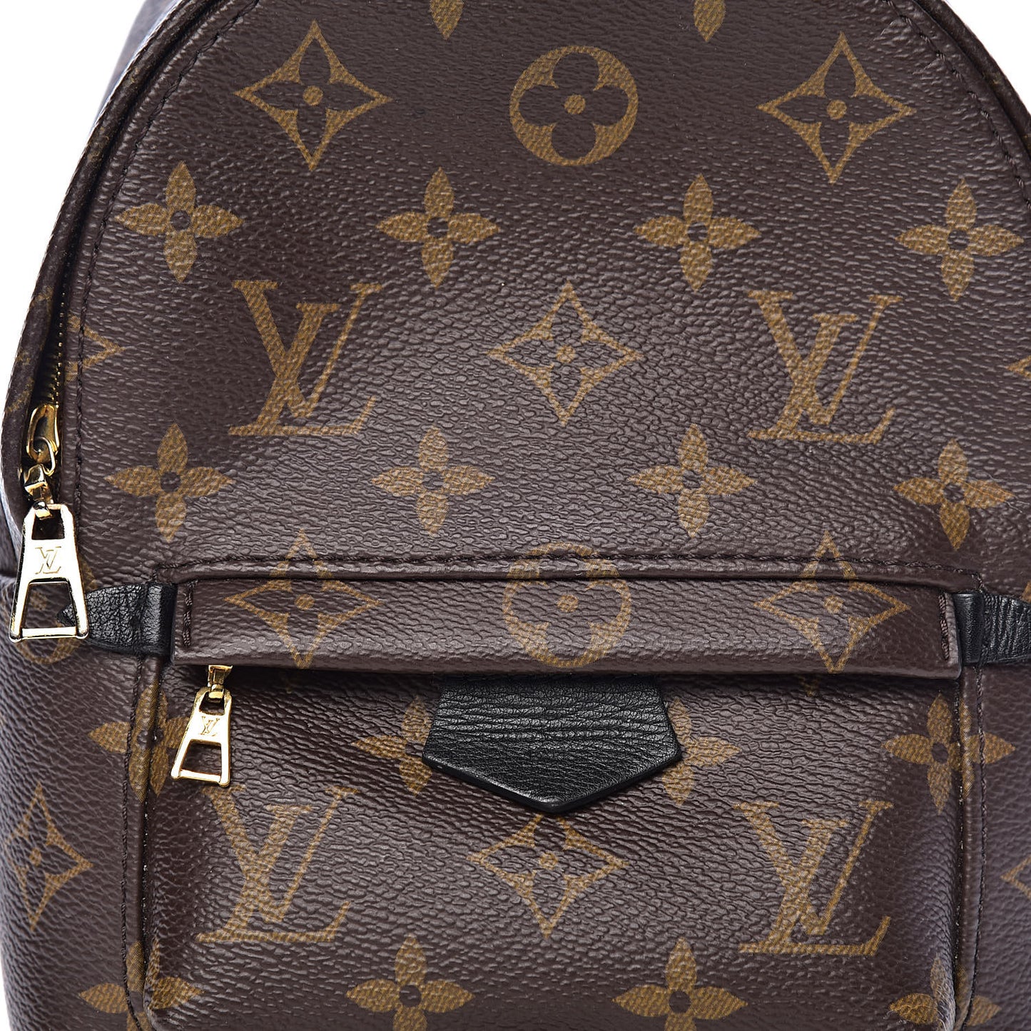Monogram Palm Springs Backpack Mini