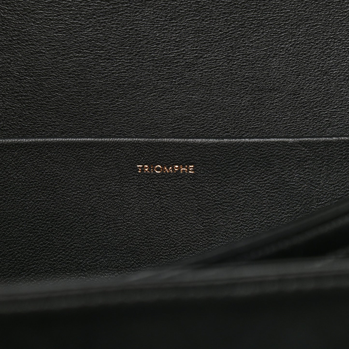 Shiny Calfskin Medium Triomphe Black