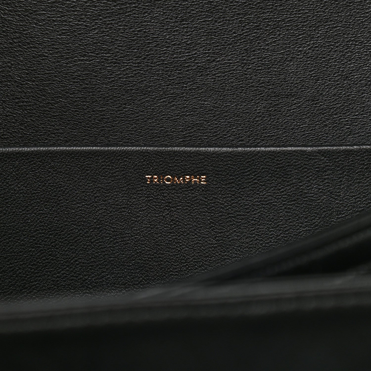Celine Shiny Calfskin Medium Triomphe Black 7 of 12