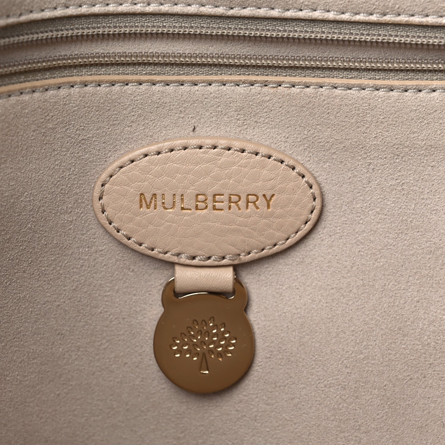 Mulberry Soft Small Grain Calfskin Tessie Tote 6 of 17