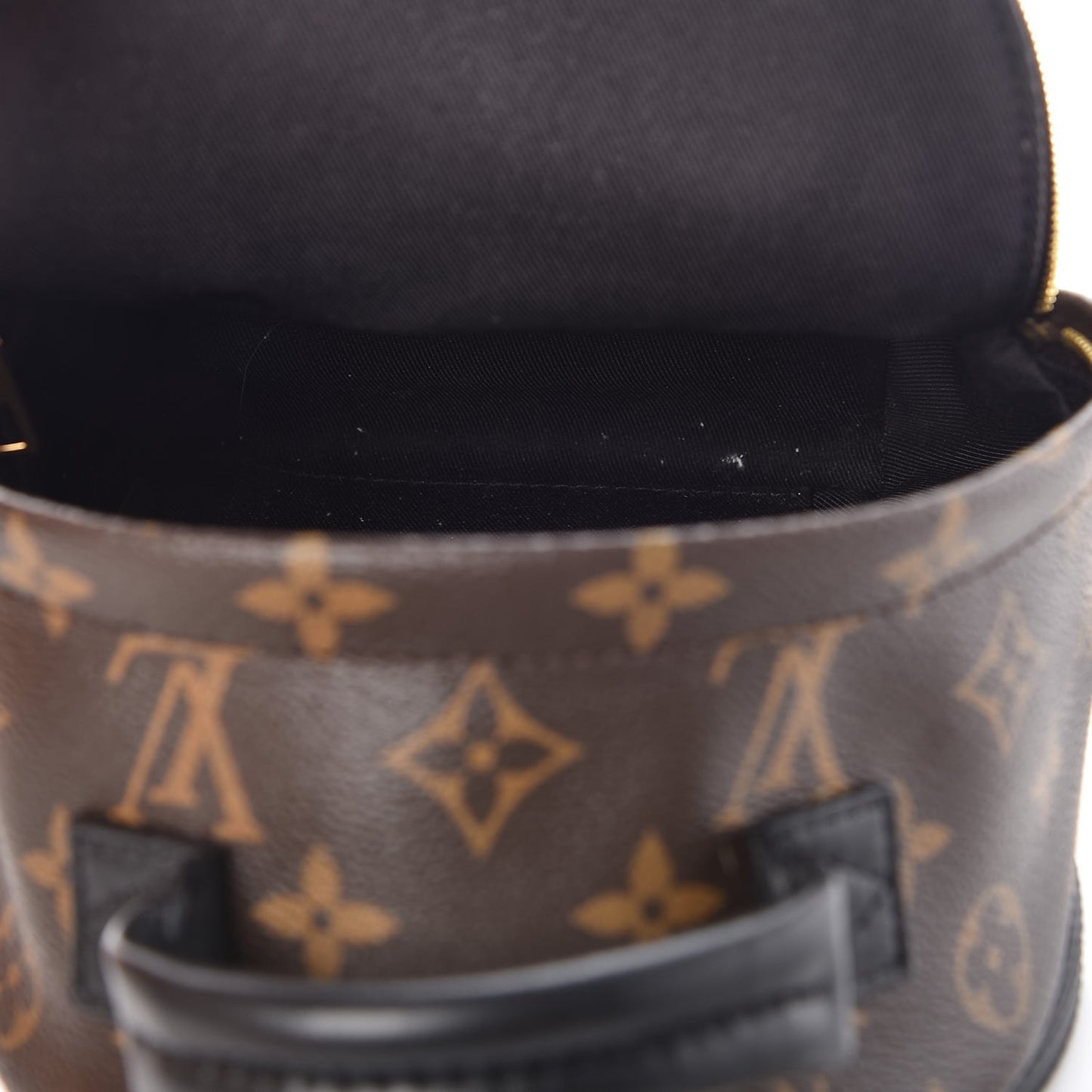 Monogram Palm Springs Backpack Mini