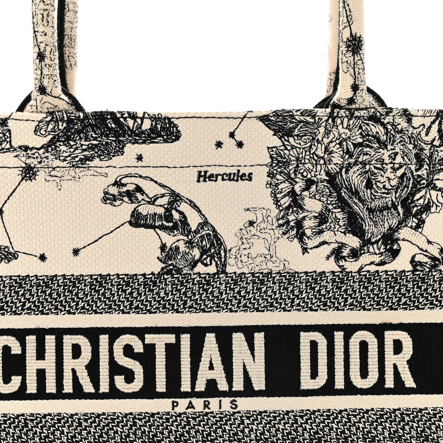 Canvas Zodiac Toile De Jouy Embroidered Medium Book Tote Latte