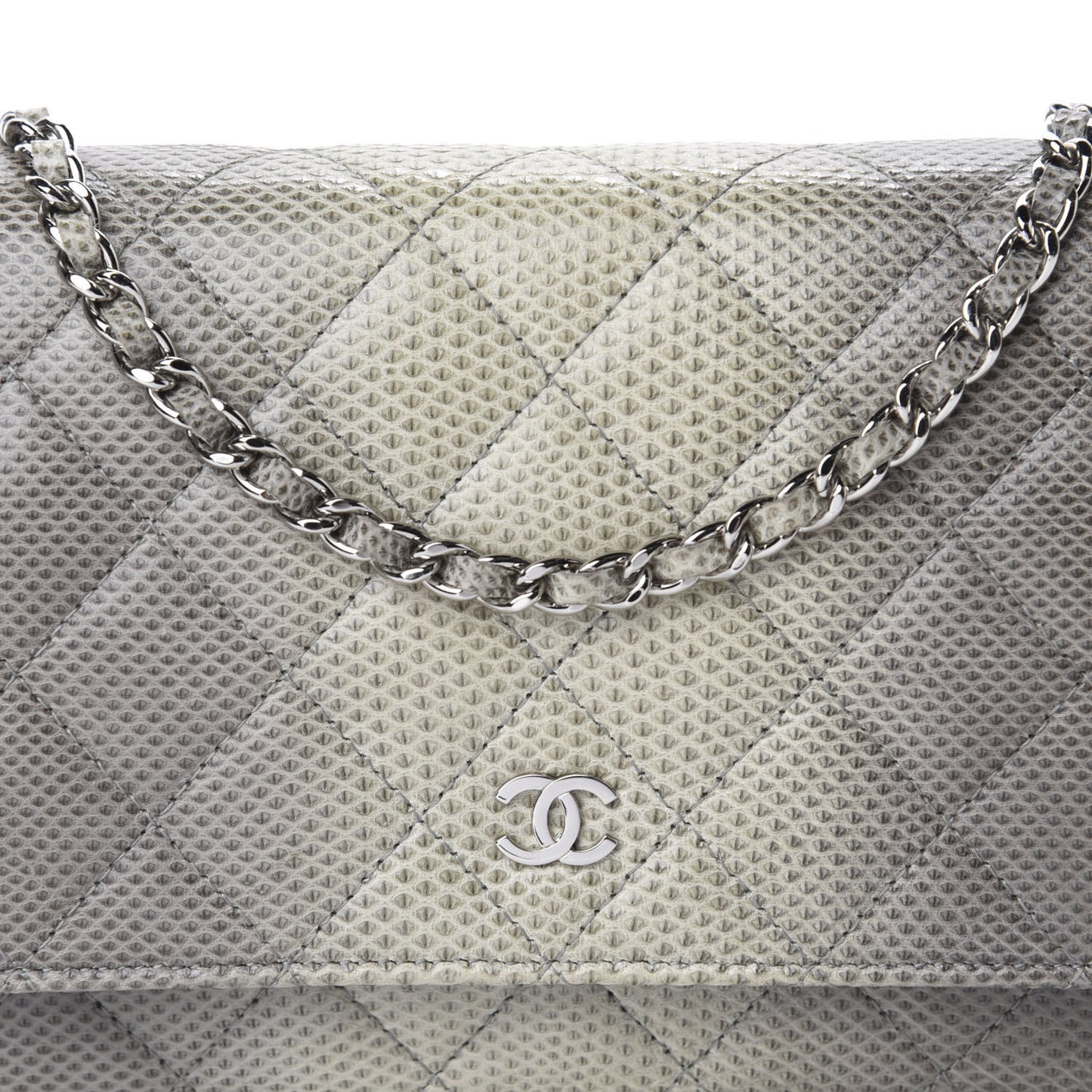 Lizard Ombre Wallet on Chain WOC Grey