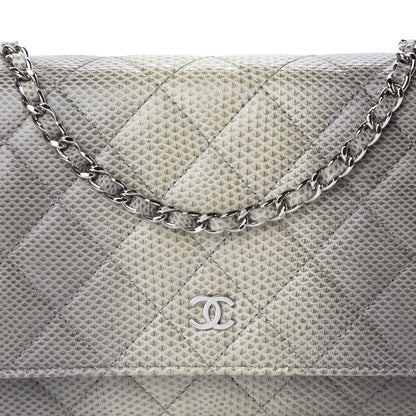 Chanel Lizard Ombre Wallet on Chain WOC Grey 16 of 16