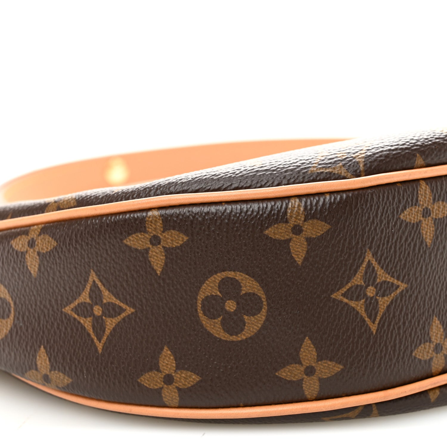 Louis Vuitton Monogram Loop 8 of 10