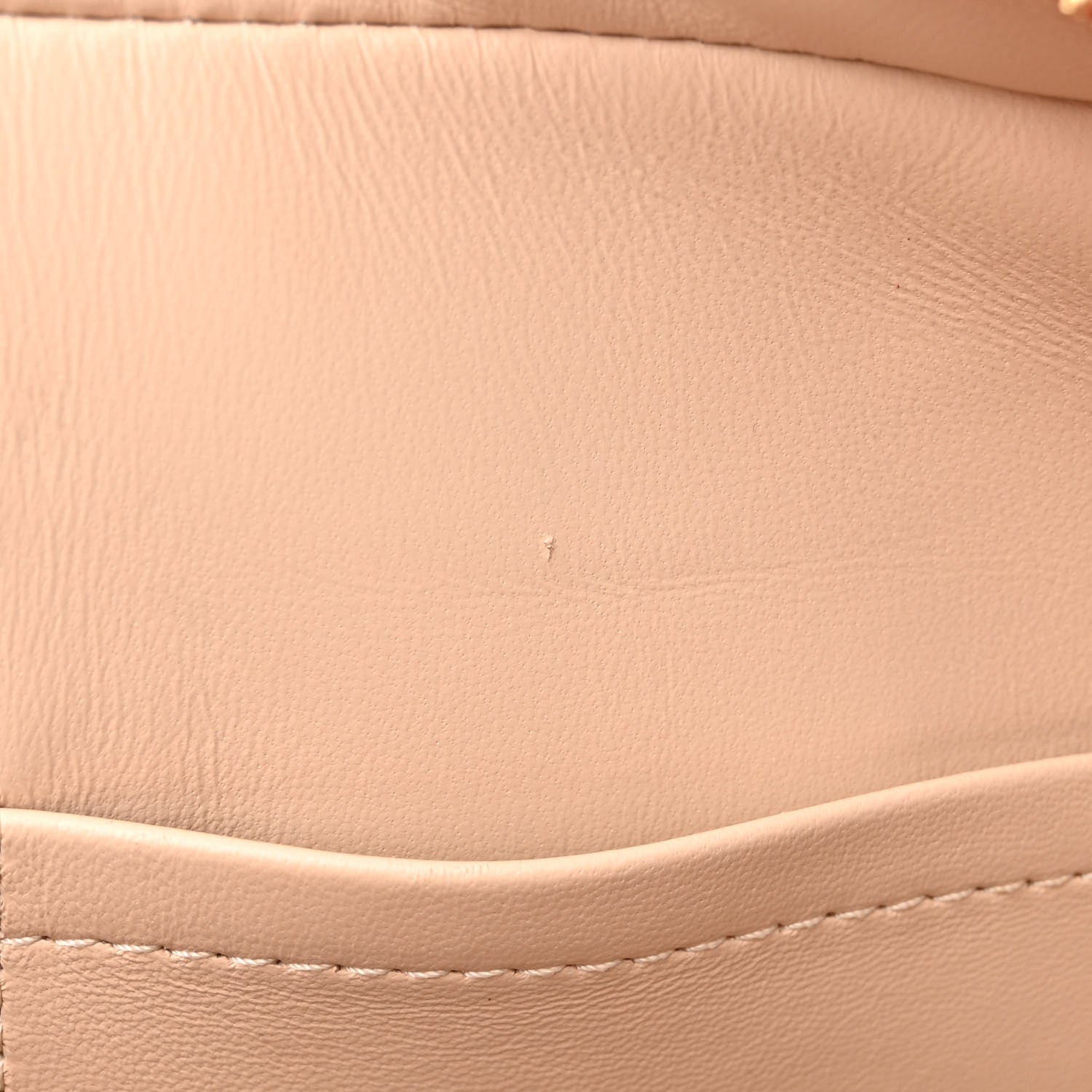 Louis Vuitton Calfskin Dora PM Rouge 15 of 15