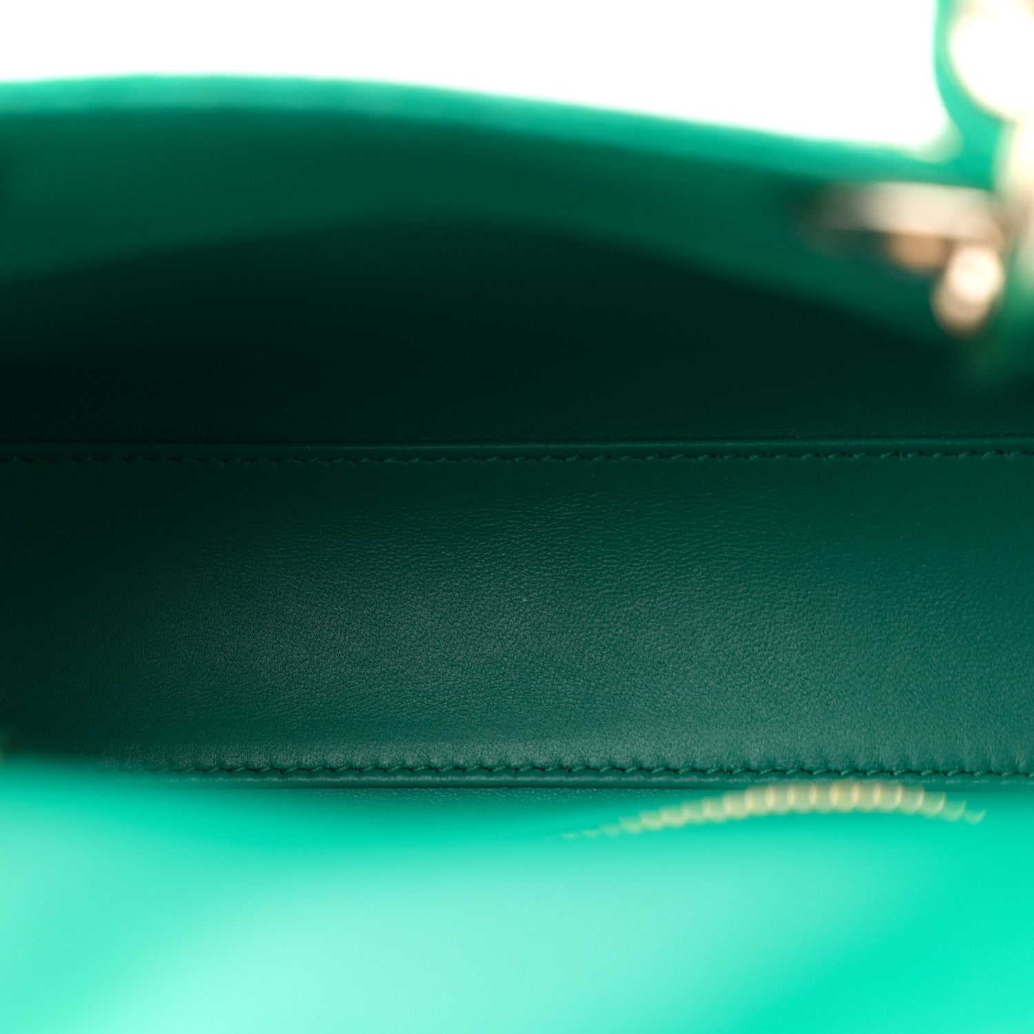 Christian Dior Lizard Mini Lady Dior Green 5 of 10