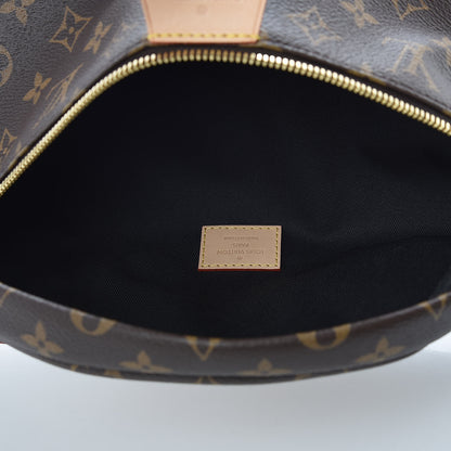Louis Vuitton Monogram Bumbag 5 of 11