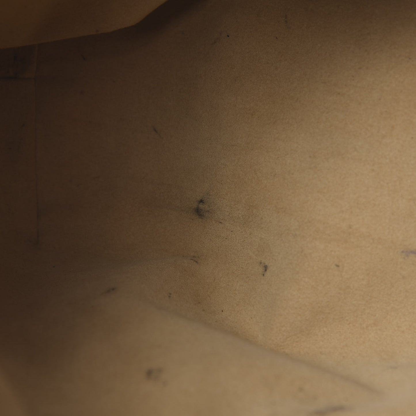 Monogram Galliera PM