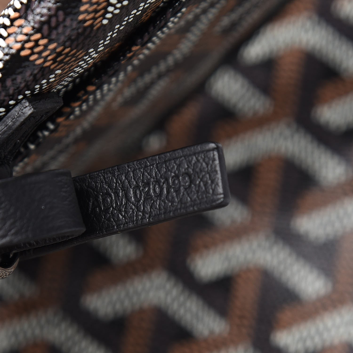Goyard Goyardine Saint Louis PM Black 8 of 10