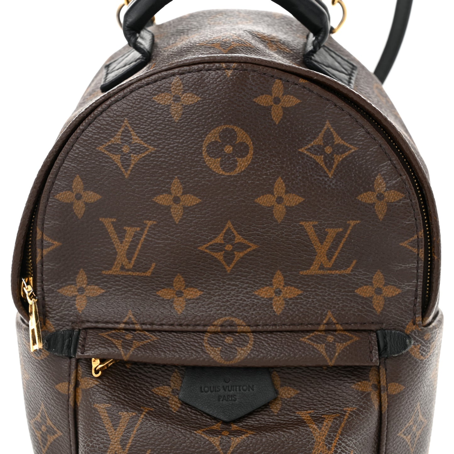 Monogram Palm Springs Backpack Mini