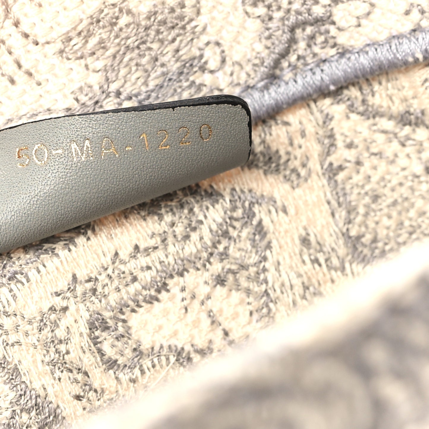 Canvas Embroidered Medium Dioriviera Toile De Jouy Book Tote Gray