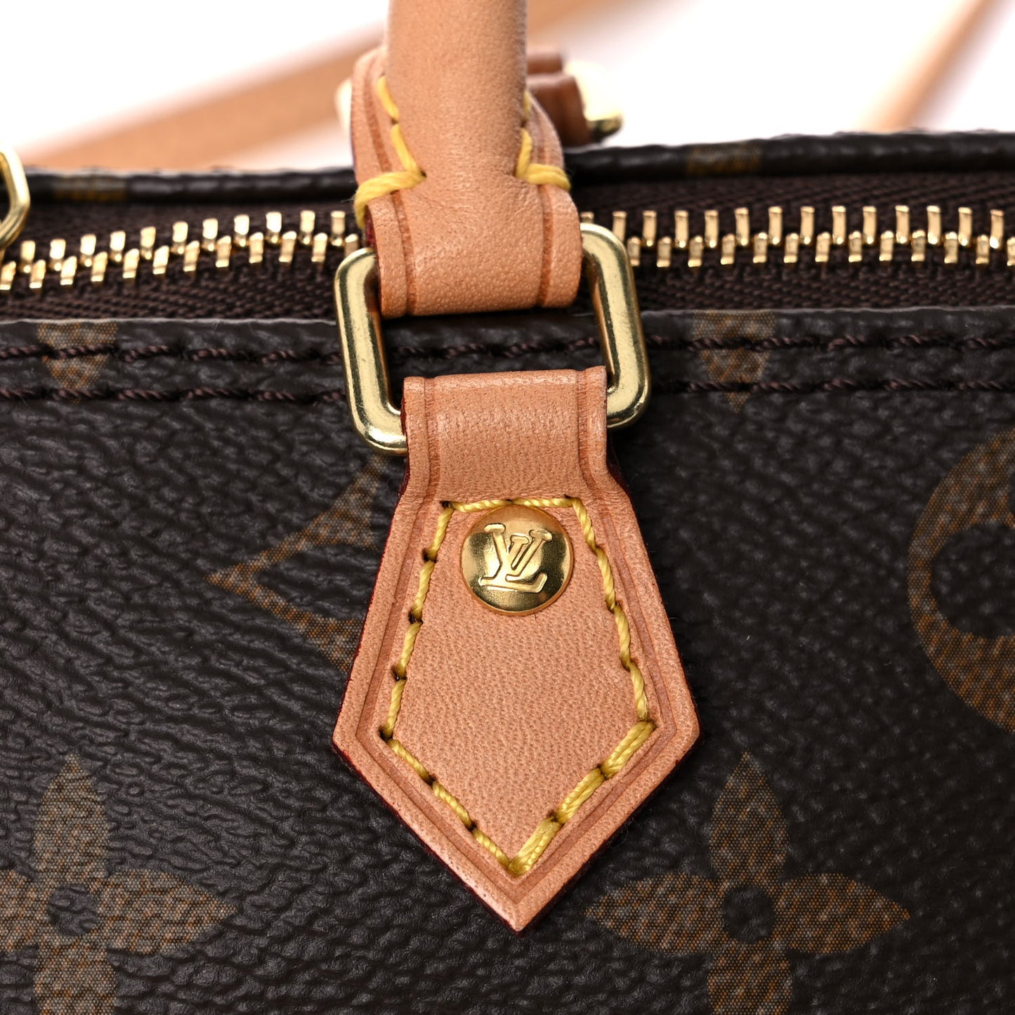 Monogram Nano Speedy