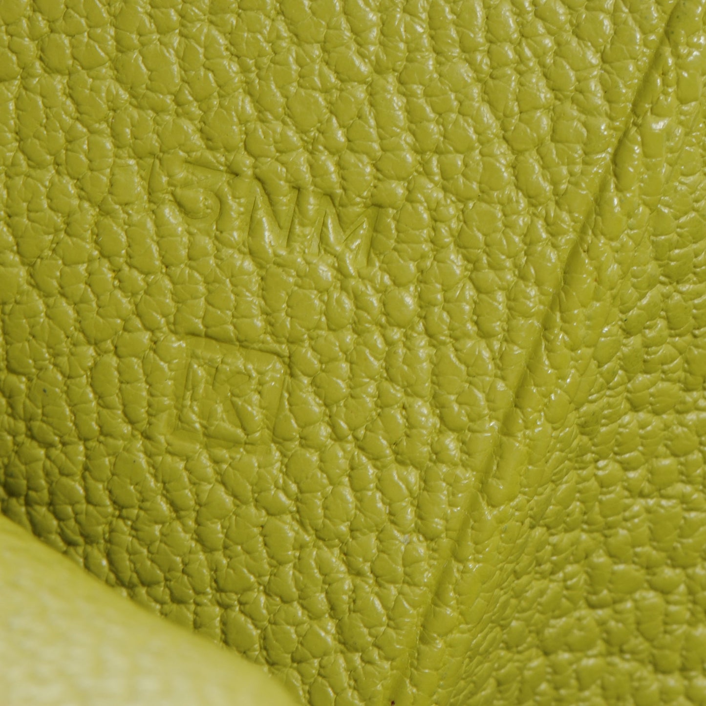 Chevre Mysore Bearn Wallet Vert Anis