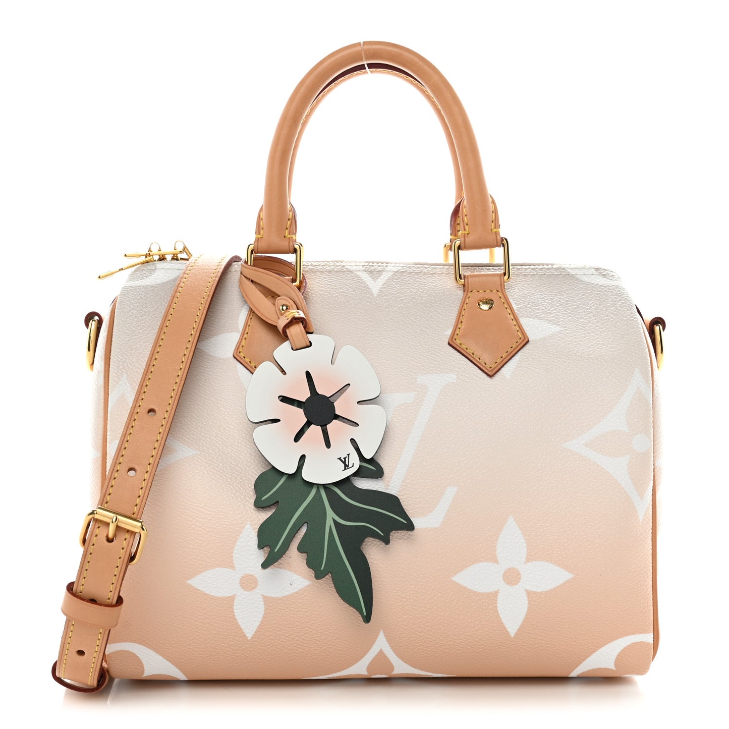 Monogram Giant By The Pool Speedy Bandouliere 25 Brume