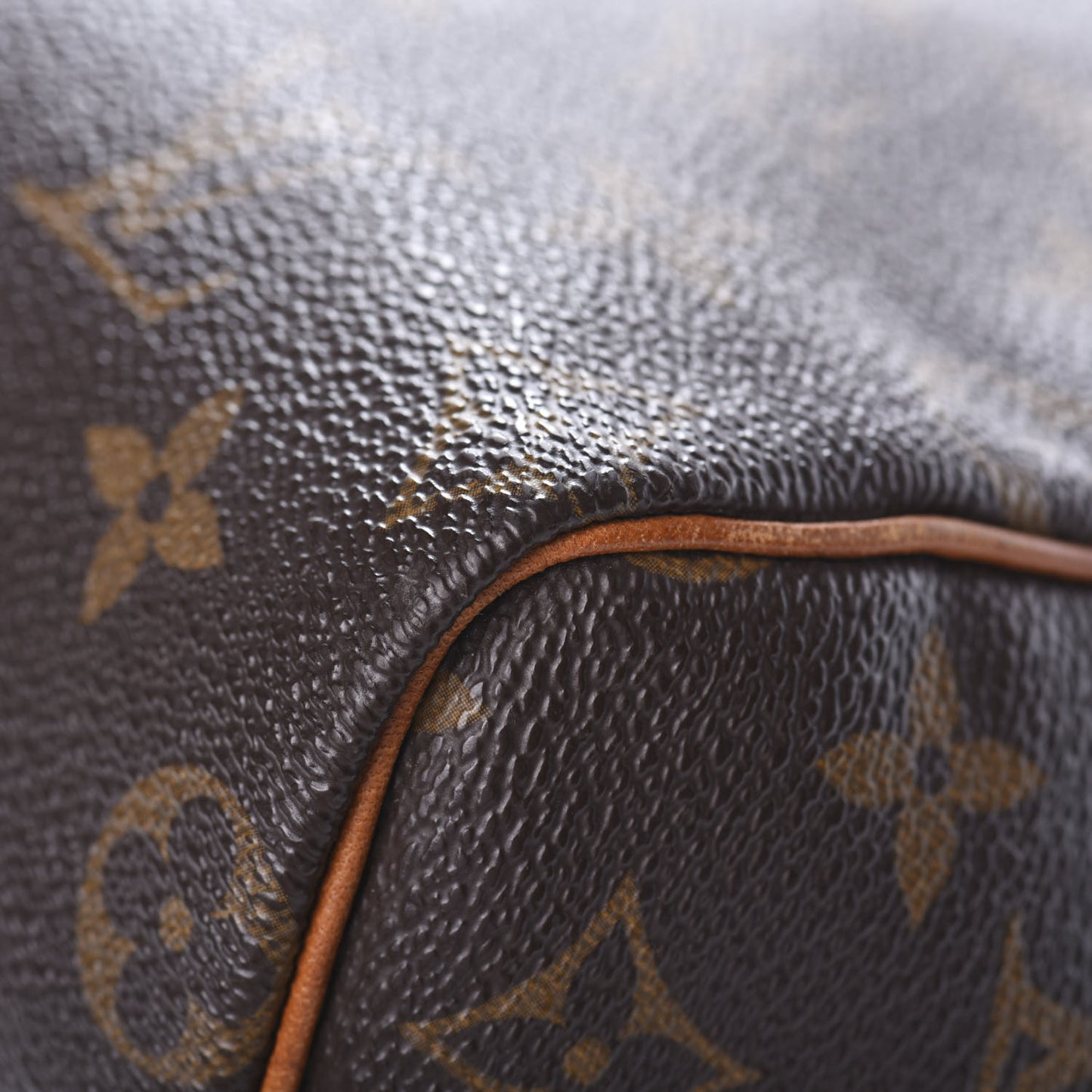 Monogram Speedy 25