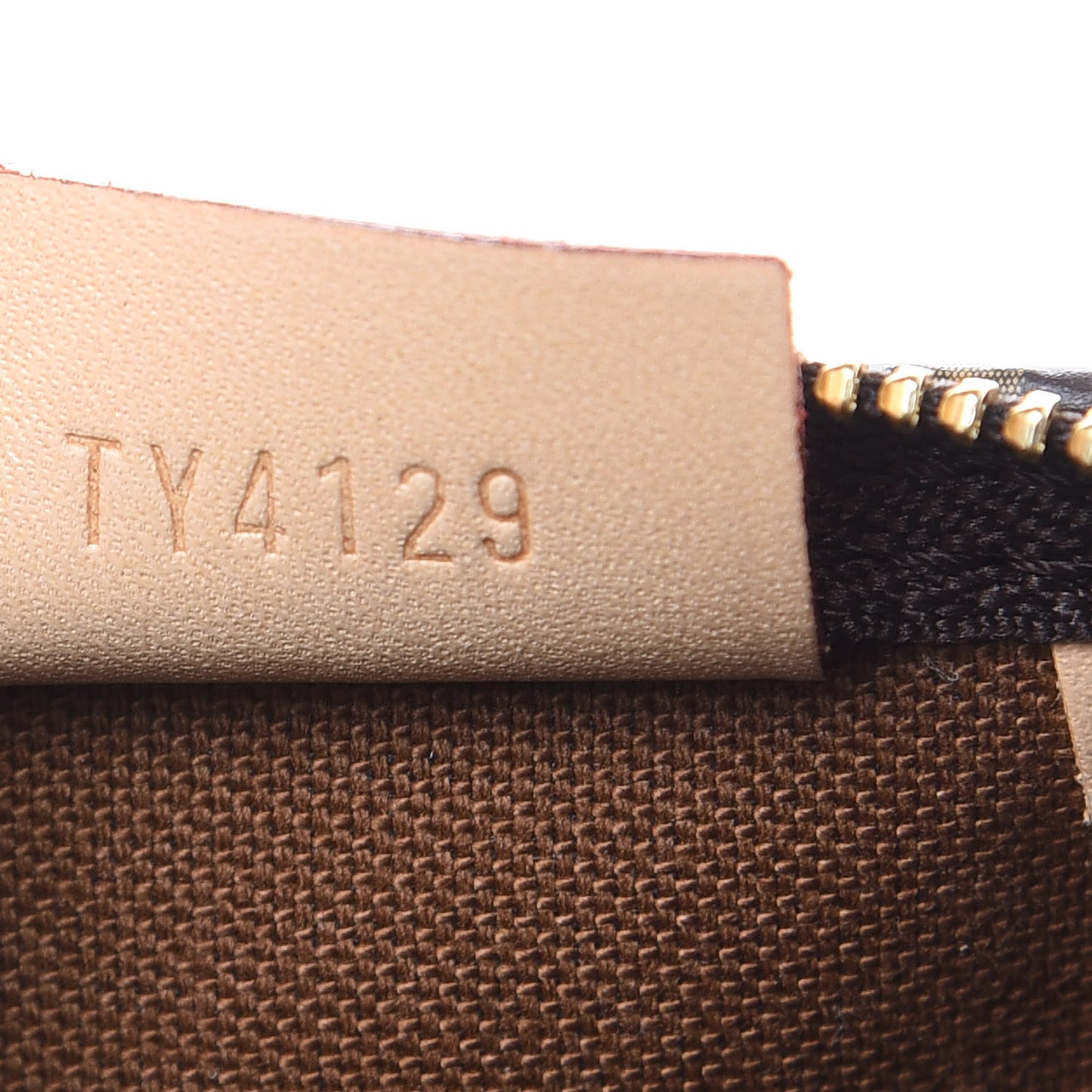Monogram Nano Speedy
