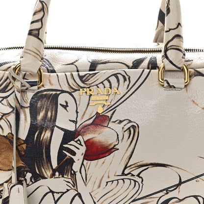 Prada X JAMES JEAN Cervo Lux Fairy Print Large Double Handle Boston Bag Prugna 9 of 12